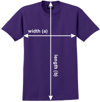 T Shirt Size Image